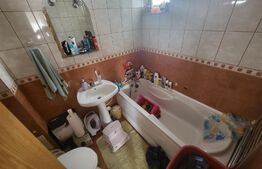 Apartament la casa, 3 camere, 120 mp, Garaj, zona Alba-Micesti