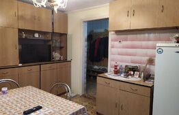 Casă individuală, 305 mp utili, teren 800 mp, zona Cetate - Alba Iulia