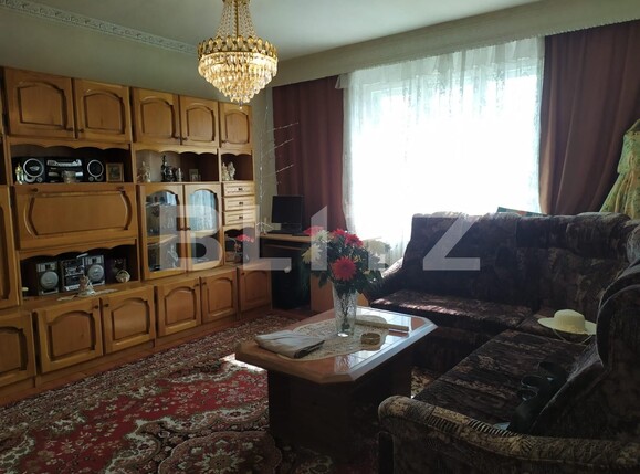 Casa de vânzare 4 camere Cetate - 97979CV | BLITZ Alba Iulia | Poza3