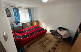 Apartament de 3 camere, 65 mp, mobilat/utilat, zona Stadion