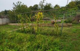 Teren de 830 mp si casa renovabila, zona Centrala 