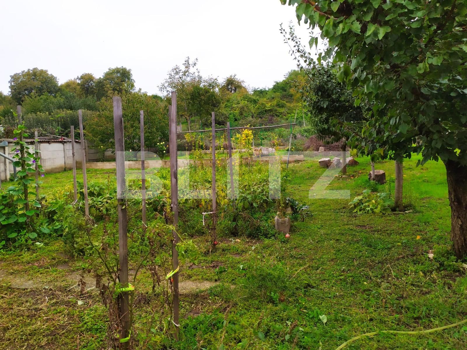 Teren de vânzare Central - 98447TV | BLITZ Alba Iulia | Poza3