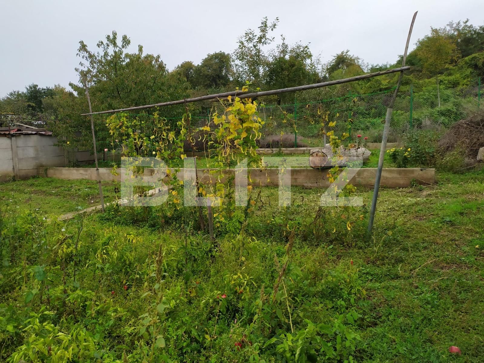 Teren de vânzare Central - 98447TV | BLITZ Alba Iulia | Poza2