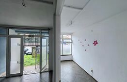 Spatiu Comercial 150 mp - zona Bulevard Transilvaniei (Dacia Albina)