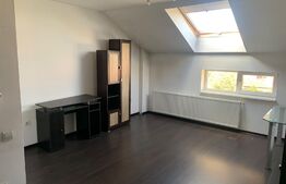 Apartament de 2 camere, 55 mp, mobilat/utilat, zona Stadion