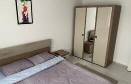 Apartament de 2 camere, 55 mp, zona Cetate