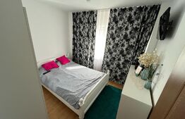 Apartamant 2 camere, 45 mp, decomandat, zona sub Stadion 