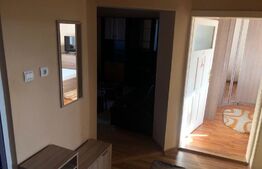 Apartament de 2 camere, 46 mp, mobilat utilat, in zona Centrala