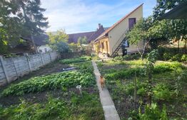 Casa individuala, 5 camere, 235 mp, 592 mp de teren, zona Ultracentrala