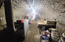 Casa individuala, 5 camere, 235 mp, 592 mp de teren, zona Ultracentrala