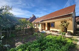 Casa individuala, 5 camere, 235 mp, 592 mp de teren, zona Ultracentrala