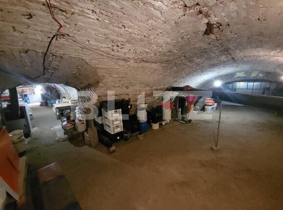 Casa de vânzare 5 camere Central - 98949CV | BLITZ Alba Iulia | Poza12