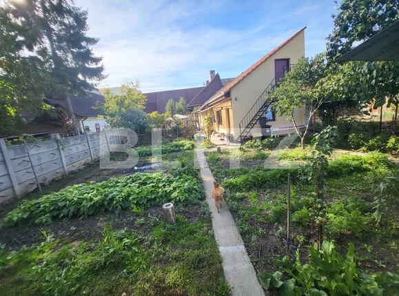 Casa de vânzare 5 camere Central - 98949CV | BLITZ Alba Iulia | Poza17