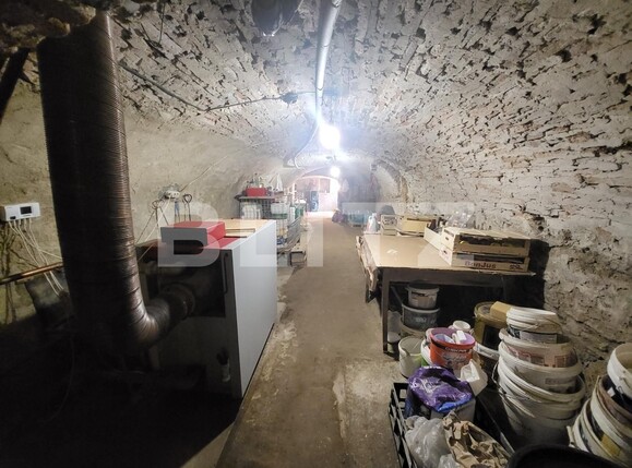 Casa de vânzare 5 camere Central - 98949CV | BLITZ Alba Iulia | Poza13