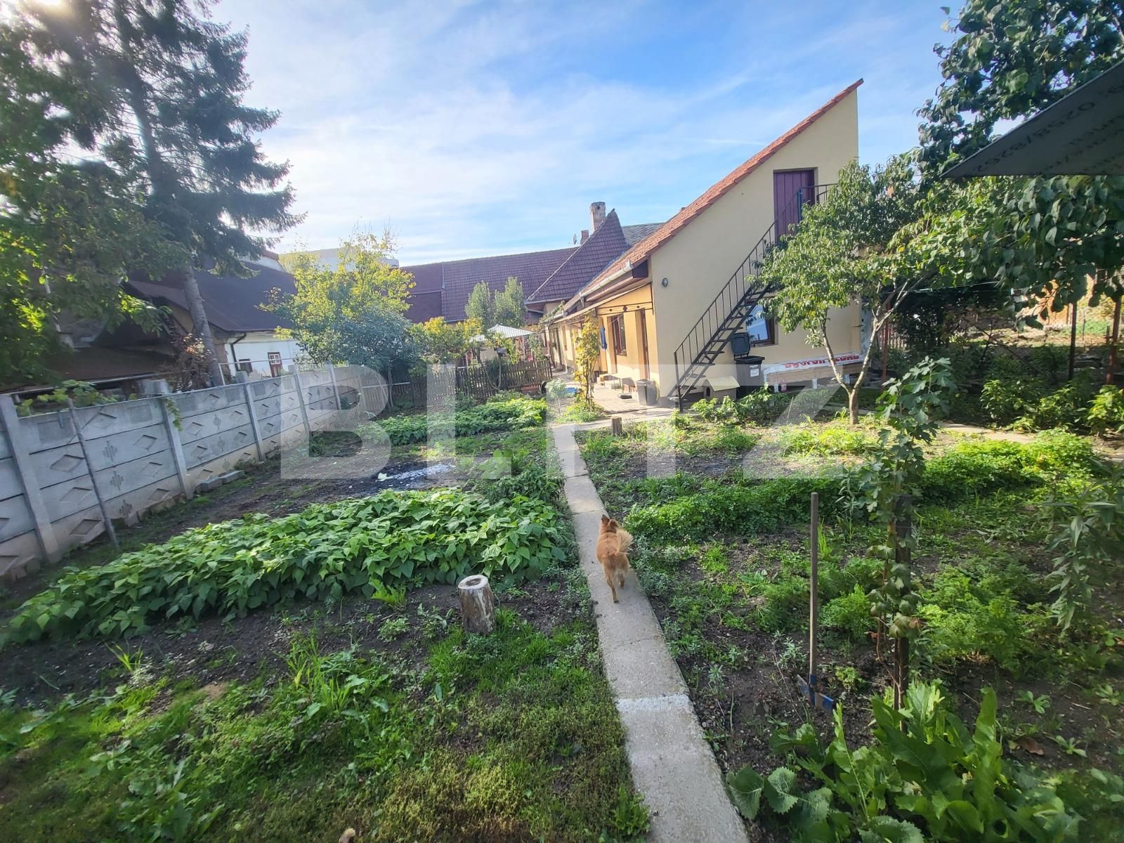 Casa de vânzare 5 camere Central - 98949CV | BLITZ Alba Iulia | Poza17