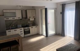 Apartament de 2 camere parter nou la prima inchiriere, mobilat si utilat zona Centrala