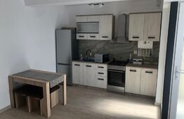 Apartament de 2 camere parter nou la prima inchiriere, mobilat si utilat zona Centrala