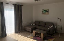 Apartament de 2 camere parter nou la prima inchiriere, mobilat si utilat zona Centrala