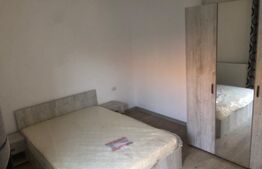 Apartament de 2 camere parter nou la prima inchiriere, mobilat si utilat zona Centrala