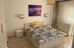 Apartament cu 3 camere 85 mp - Zona Cetate