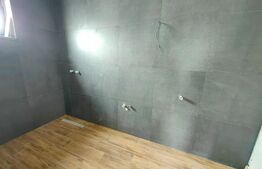 Casa tip duplex 4 camere, zona poligon Micesti