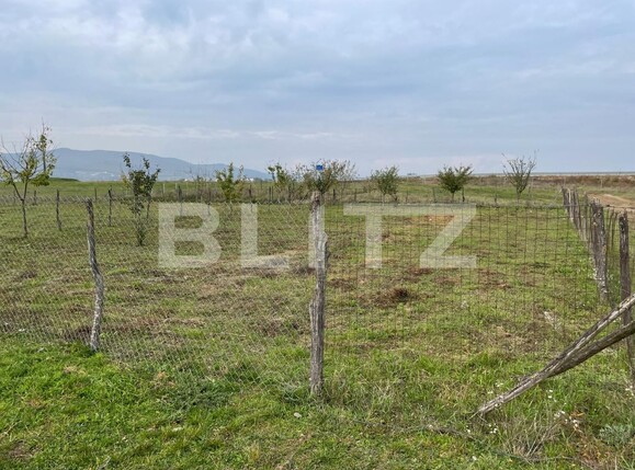 Teren de vânzare Partoș - 99426TV | BLITZ Alba Iulia | Poza1