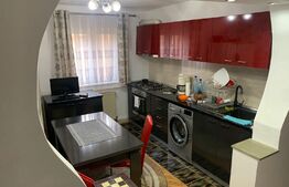 Apartament de 2 camere, 55 mp, zona Cetate