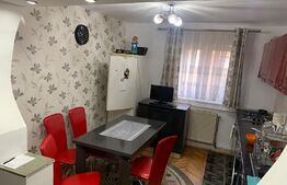 Apartament de 2 camere, 55 mp, zona Cetate