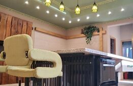 Casa deosebita, cu dotari smart