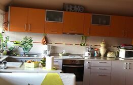 Oportunitate! Casa individuala, 752 mp utili, d+p+2e, Cetate