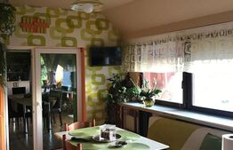 Oportunitate! Casa individuala, 752 mp utili, d+p+2e, Cetate