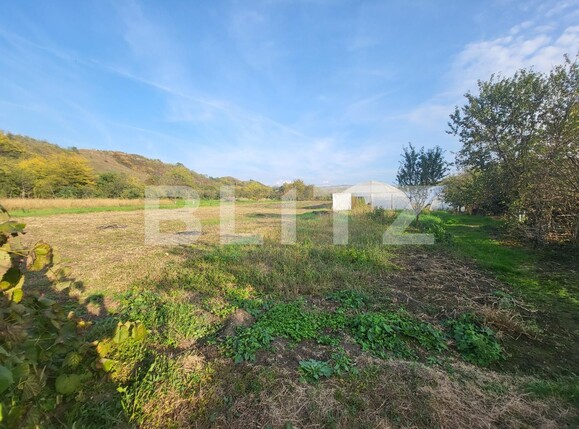 Casa de vânzare 2 camere Sud - 99577CV | BLITZ Alba Iulia | Poza6