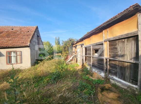 Casa de vânzare 2 camere Sud - 99577CV | BLITZ Alba Iulia | Poza4