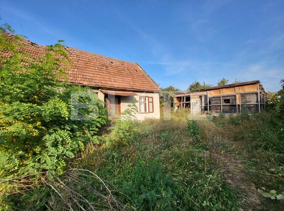 Casa de vânzare 2 camere Sud - 99577CV | BLITZ Alba Iulia | Poza3