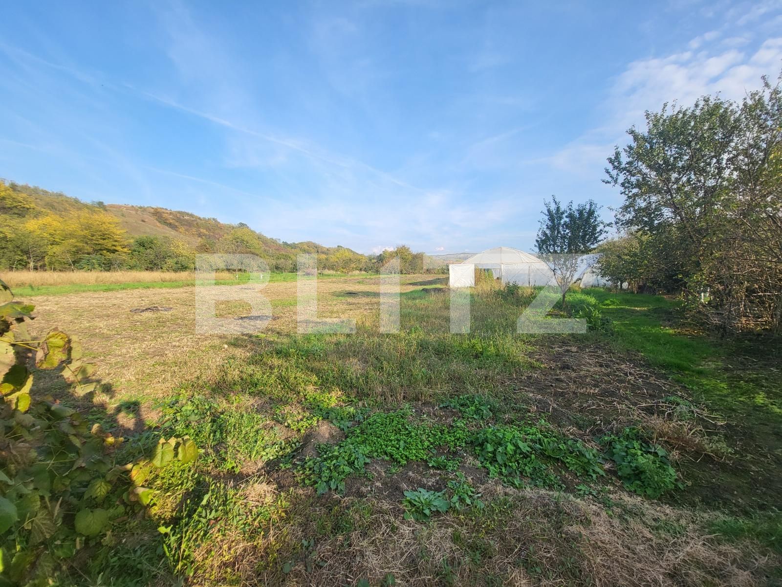 Casa de vânzare 2 camere Sud - 99577CV | BLITZ Alba Iulia | Poza6