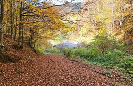 Casa tip Anexa, Pastravarie, 4600 mp teren, Exterior Nord 