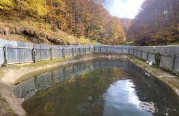 Casa tip Anexa, Pastravarie, 4600 mp teren, Exterior Nord 