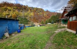 Casa tip Anexa, Pastravarie, 4600 mp teren, Exterior Nord 