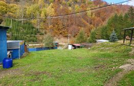 Casa tip Anexa, Pastravarie, 4600 mp teren, Exterior Nord 