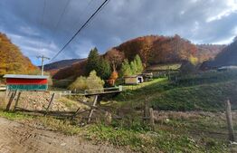 Casa tip Anexa, Pastravarie, 4600 mp teren, Exterior Nord 