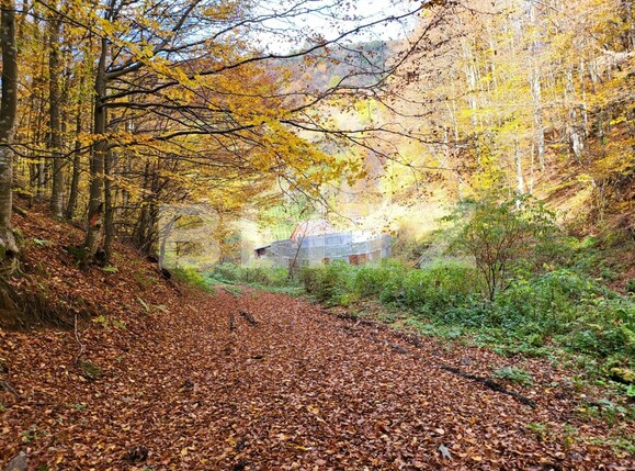 Casa de vânzare 2 camere Exterior Nord - 99614CV | BLITZ Alba Iulia | Poza13