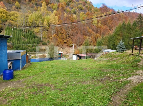 Casa de vânzare 2 camere Exterior Nord - 99614CV | BLITZ Alba Iulia | Poza6