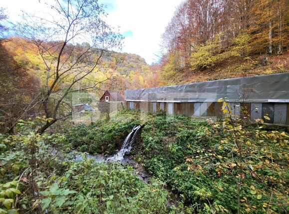 Casa de vânzare 2 camere Exterior Nord - 99614CV | BLITZ Alba Iulia | Poza2