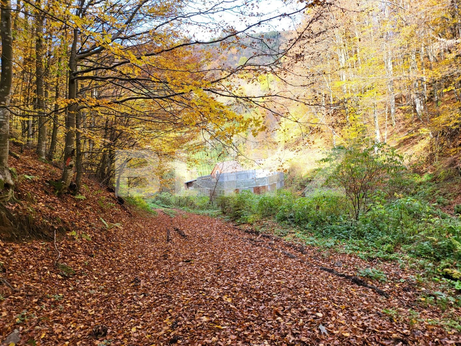 Casa de vânzare 2 camere Exterior Nord - 99614CV | BLITZ Alba Iulia | Poza13