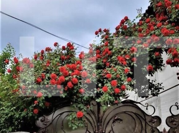 Casa de vânzare 11 camere Central - 99626CV | BLITZ Alba Iulia | Poza11