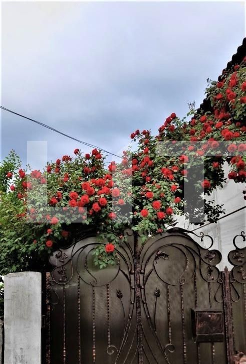 Casa de vânzare 11 camere Central - 99626CV | BLITZ Alba Iulia | Poza11