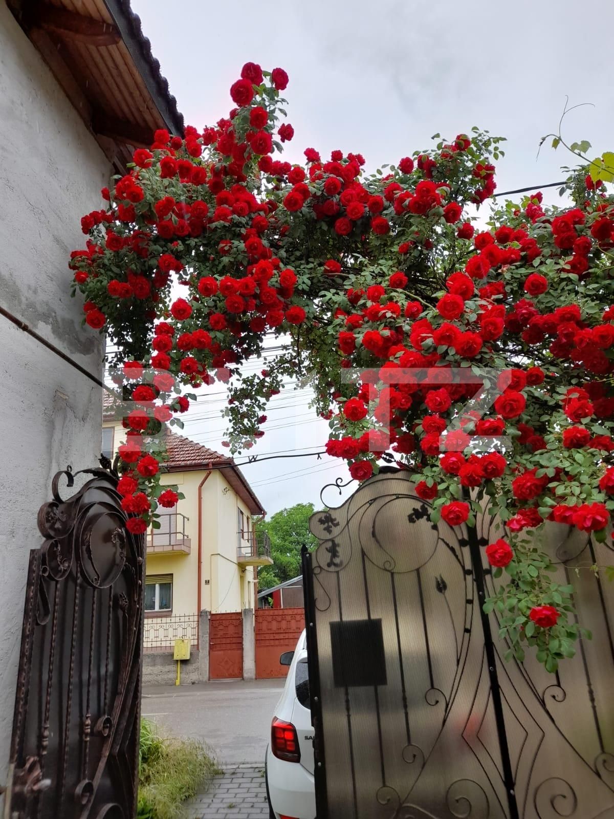 Casa de vânzare 11 camere Central - 99626CV | BLITZ Alba Iulia | Poza3