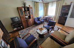 Casa individuala 5 camere, 290 mp, 1064 mp teren, zona Ultracentrala