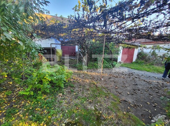 Casa de vânzare 5 camere Carolina Apulum - 99804CV | BLITZ Alba Iulia | Poza19