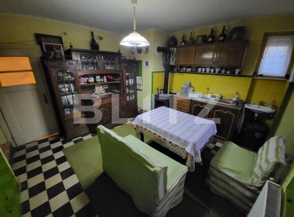 Casa de vânzare 5 camere Carolina Apulum - 99804CV | BLITZ Alba Iulia | Poza13